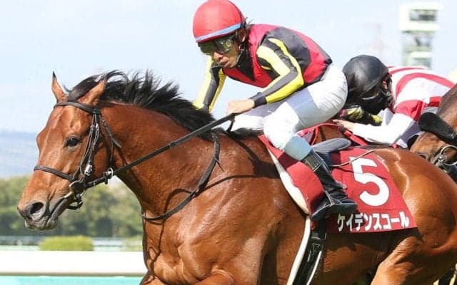 【マイラーズC】古川吉「期待通り」ケイデンスコールが重賞3勝目