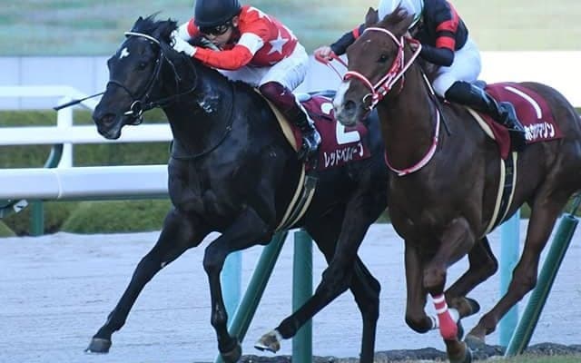 【JRA】レッドベルオーブが全治3ヶ月以上の骨折、昨年のデイリー杯2歳S覇者