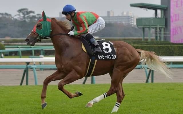 【門別競馬情報】初めて古馬勢に挑むハッピーホンコン、3歳世代「ハイレベル」を示せるか注目「サッポロ生ビール黒ラベル特別」/地方競馬情報