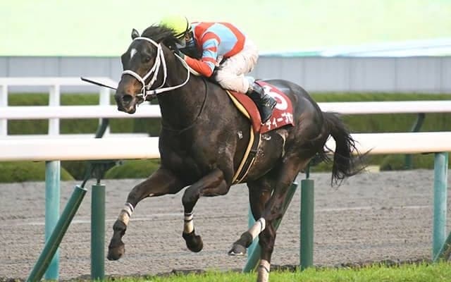 【天皇賞・春予想オッズ】ディープボンドが予想1番人気に