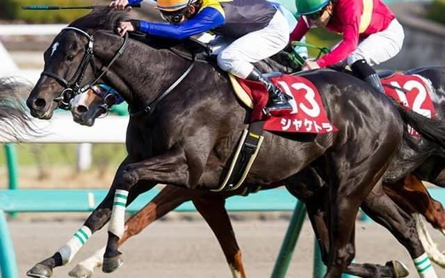 【JRA】シャケトラ、シングンマイケルなど物故馬219頭の法要を実施