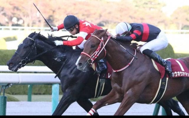 レッドベルオーブが故障