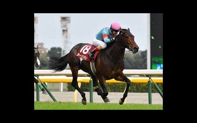 天皇賞・春の注目はオルフェーヴル産駒の２頭。長距離適性の高さに期待