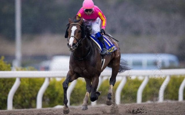 【かきつばた記念】JRA出走予定馬