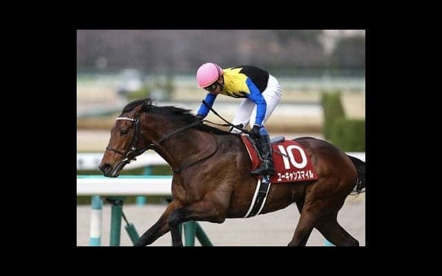 スタミナ勝負に拍車。今年の天皇賞・春は穴党記者確信の４頭におまかせ