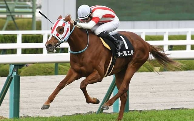 【青葉賞予想】ダービーへの試金石！ 距離適性から浮上してきた“隠れた実力馬”とは？/JRAレース展望