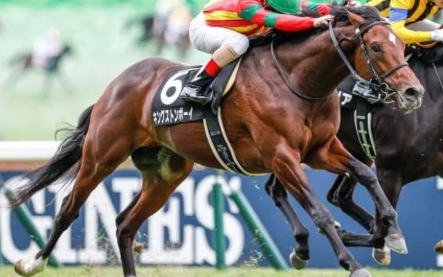 【青葉賞前日オッズ】キングストンボーイが1.4倍で1番人気