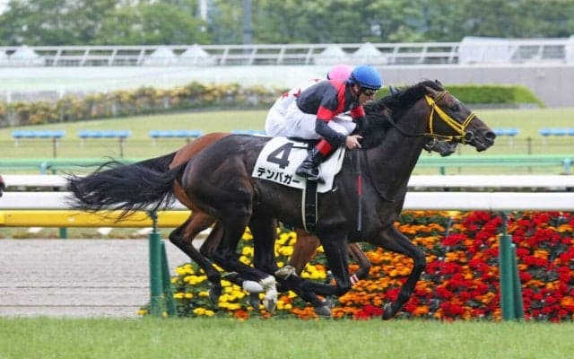 【東京7R】モーリス産駒 テンバガーが人気に応えて2勝目