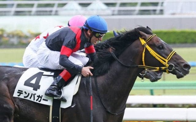 【東京7R】デムーロ「よく頑張ってくれた」テンバガーが2勝目