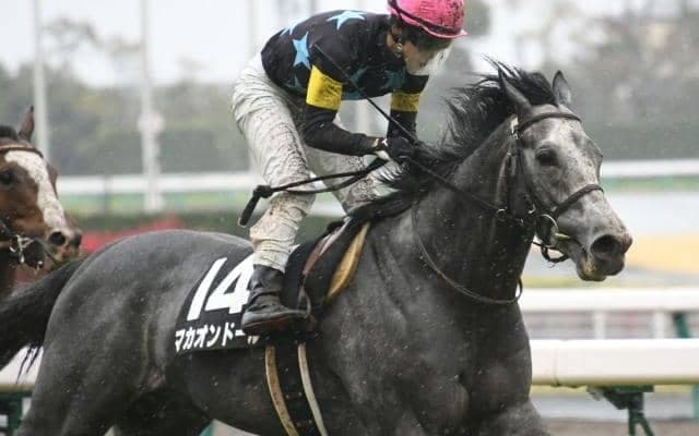 【京都新聞杯展望】ダービーに向けて注目の一戦、注目はあの馬