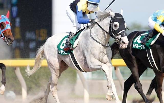 【ブリリアントSハンデ確定】ハヤヤッコは57.0kg、バンクオブクラウズは55.0kg