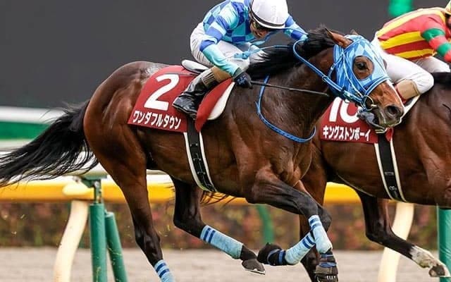 【青葉賞回顧】ワンダフルタウン　次も狙いたい東京芝2400mで連対率抜群のルーラーシップ産駒/栗山求