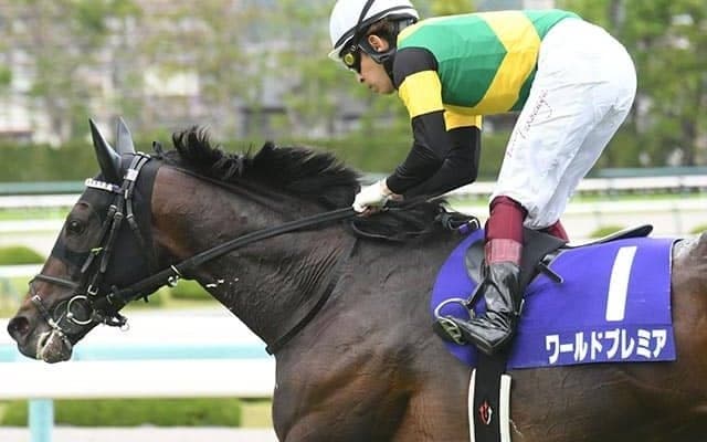 【天皇賞・春回顧】ワールドプレミア　近年長距離GIで活躍目立つディープの血/栗山求