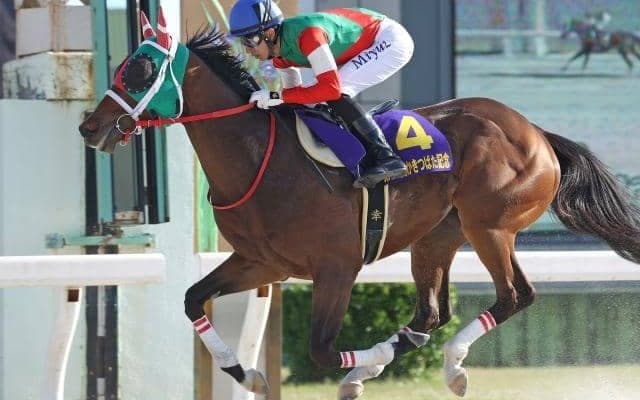 【名古屋・かきつばた記念結果】ラプタスが逃げ切り連覇達成！