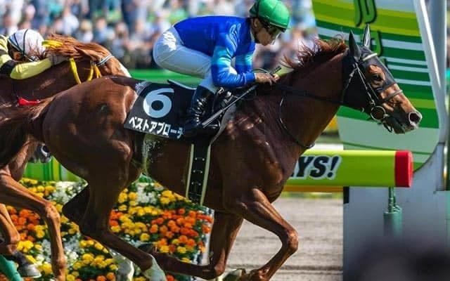 【先週のJRA抹消馬】18年メトロポリタンS覇者のベストアプローチ、19年水無月S覇者のウインストラグルなど