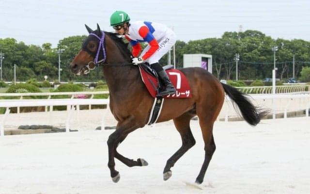 【兵庫CS】幸「芝でもダートでも」リプレーザ3連勝で重賞初制覇