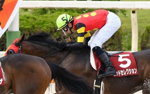 【兵庫CS】中井「適正の差」レース後ジョッキーコメント