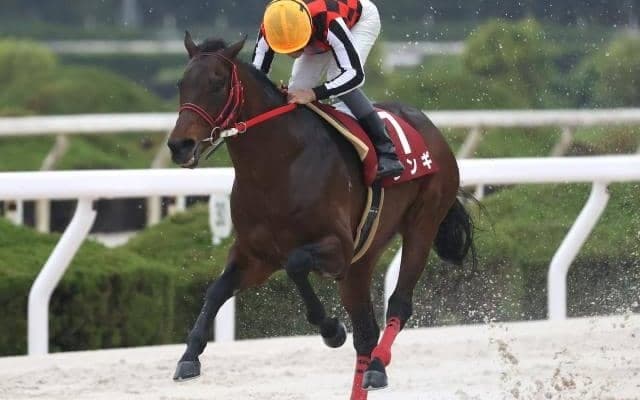 【園田・兵庫大賞典結果】ジンギが断然人気に応え逃げ切りV