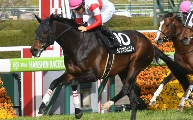 【新潟大賞典展望】1番人気が14連敗中のハンデ重賞