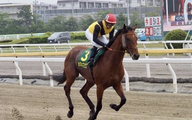 【かしわ記念】ルメール「あまり進まなかった…」レース後ジョッキーコメント