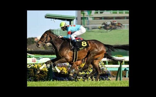 高配当続出のNHKマイルＣ。穴党記者がほくそ笑む一戦で狙いを定めた３頭