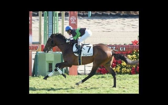 波乱必至のNHKマイルＣ。馬券の「サイン」は大河ドラマにあり!?