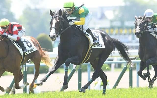 【新潟大賞典予想】今年も波乱必至!? 波乱の使者は“時計のかかる馬場を得意とするサウスポー”