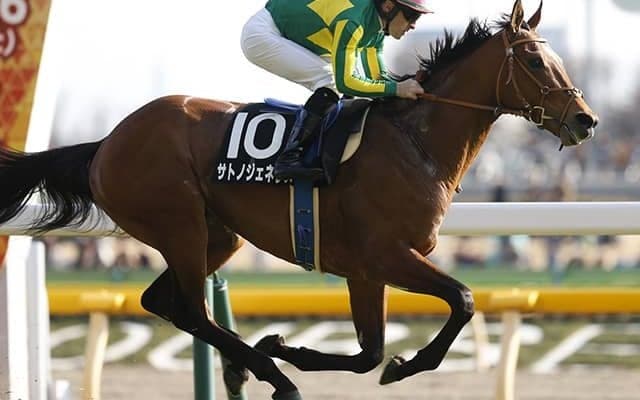 【JRA】サトノジェネシスが2年3ヶ月ぶりに復帰、サトノダイヤモンドの全弟
