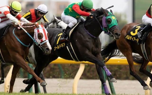 【メトロポリタンS結果】4番人気のゴールドギアが直線一気V