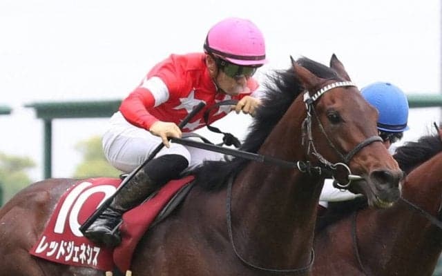 【京都新聞杯】川田「雰囲気は良かった」レッドジェネシスが重賞初V