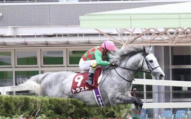 【京都ハイジャンプ予想オッズ】トラストが予想1番人気に