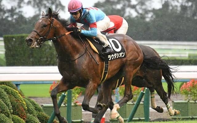 【京王杯SC予想オッズ】ラウダシオンが予想1番人気に