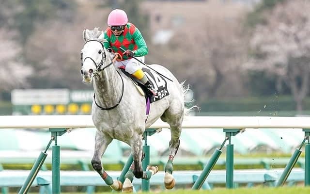 【京都ハイジャンプ想定騎手】トラストは熊沢重文騎手、ケイブルグラムは蓑島靖典騎手