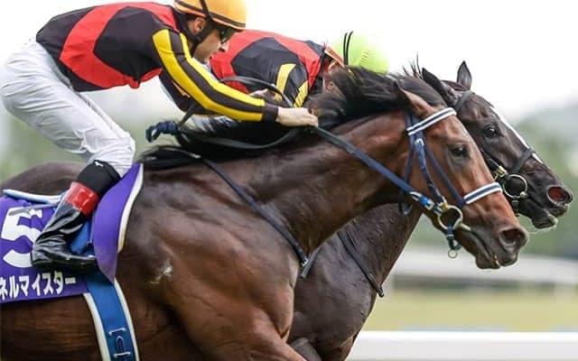 【NHKマイルC回顧】「ゴール前の鋭い決め手が持ち味」種牡馬としても成功したシュネルマイスターの父キングマン/栗山求