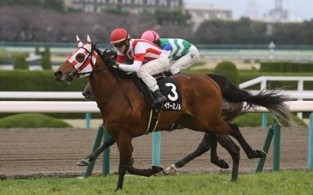 【京王杯SC展望】安田記念に向けた一戦、注目はあの馬