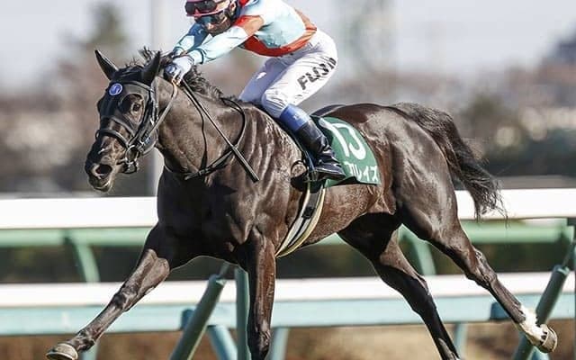 【栗東Sハンデ確定】アブレイズは54.0kg、スリーグランドは56.0kg