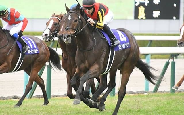 【ヴィクトリアマイル予想オッズ】グランアレグリアが1.2倍で抜けた人気に