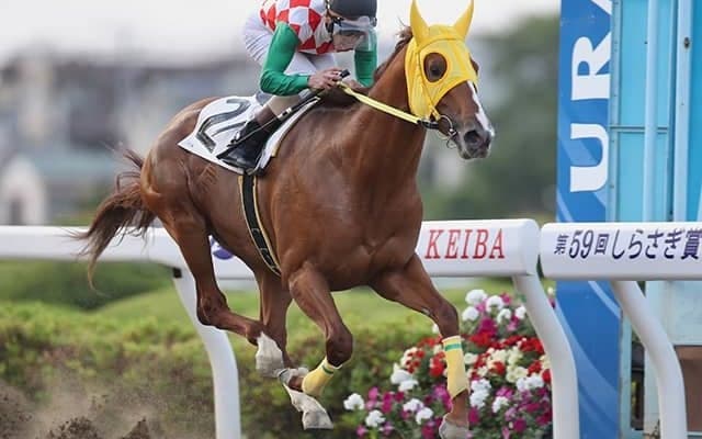 【浦和・プリムローズ賞結果】ティーズダンクが1番人気に応えて勝利