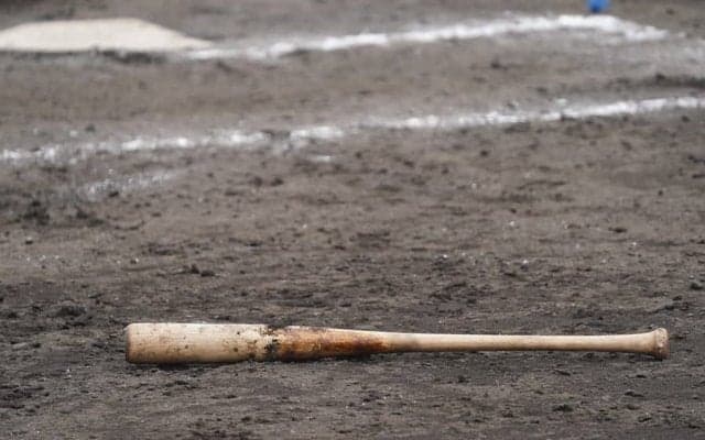 「もう少しで審判を殺すところだった」　超危険な“バット投げ”が「これは退場」