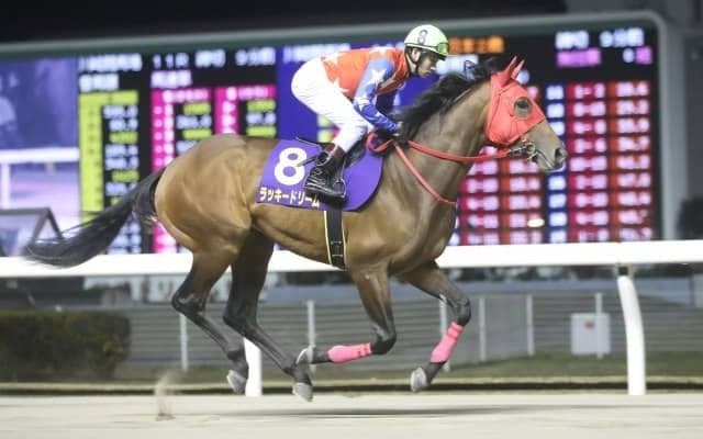【門別競馬情報】JBC2歳優駿JpnIII勝ちラッキードリームにエーデルワイス賞JpnIII圧勝ソロユニットら実績馬が勢揃い！「第45回北斗盃H2」/地方競馬情報