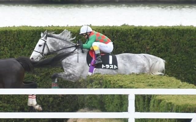 【京都ハイジャンプ出走馬・騎手確定】トラスト＆熊沢重文騎手、スマートアペックス＆中村将之騎手など11頭
