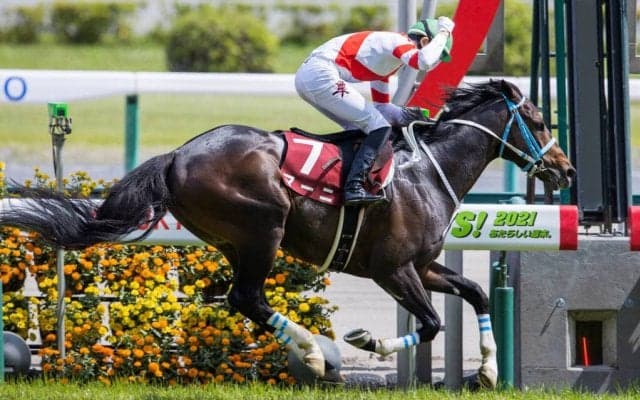 【京都ハイジャンプ】三津谷隼人騎手が有終の美！ラストライドで重賞初制覇