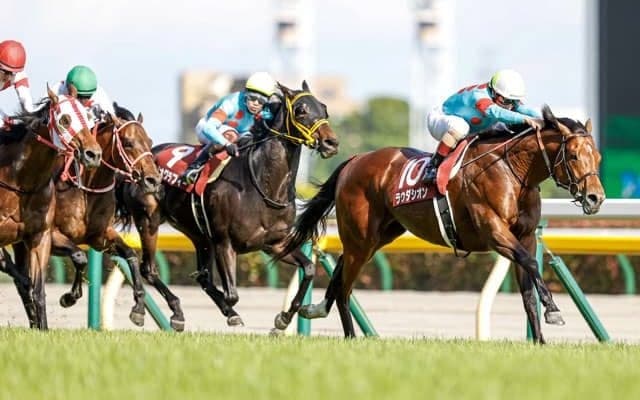 【万哲の馬場予報】人気の○○には最良の舞台設定!?