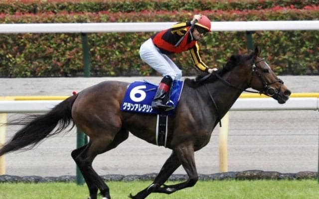 【ヴィクトリアM】グランアレグリアが史上初、古馬芝マイルG1完全制覇