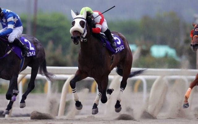 【水沢・留守杯日高賞】スマイルミュがゴール前の叩きあいを制しクビ差で勝利