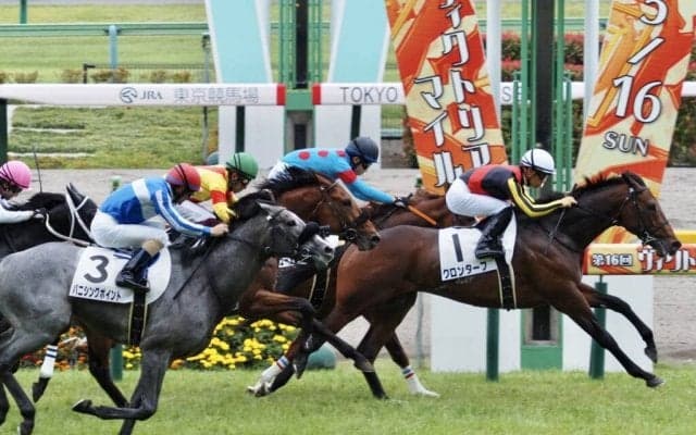 【東京5R】ディープ産駒の良血クロンターフがで2連勝
