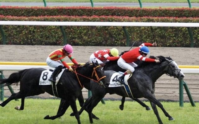 【東京8R】アオイクレアトールが人気に応えて3勝目