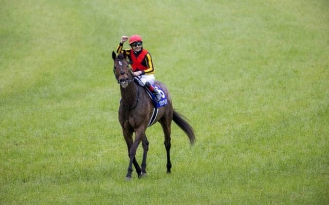 【ヴィクトリアM】ルメール「違うレベル」グランアレグリアがG1・5勝目