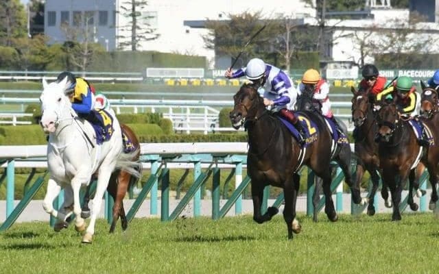 白毛の桜花賞馬2冠なるか 牝馬クラシック第2戦オークス/今週の競馬界の見どころ