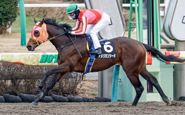 【平安S見どころ】アメリカンシードが巻き返して重賞初Vを狙う